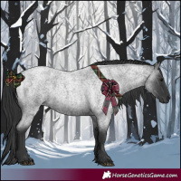 Horse Color:Blue Roan 