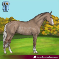 Horse Color:Silver Grullo Rabicano 