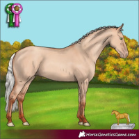 Horse Color:Silver Sable Champagne Dun 