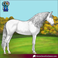 Horse Color:Gray Brown Dun Sabino Splash Tobiano 