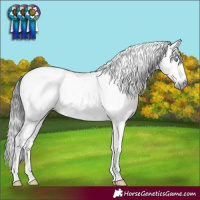 Horse Color:Gray Brown Dun Sabino Splash Tobiano 