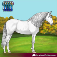 Horse Color:Gray Brown Dun Sabino Splash Tobiano 