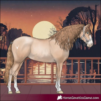 Horse Color:Gold Champagne Pearl Rabicano  and Gold Champagne Pearl Rabicano 
