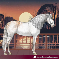 Horse Color:Gray Gold Champagne Appaloosa  and Gray Gold Cream Champagne Appaloosa 