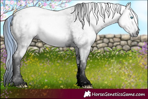Horse Color:ERROR: UNKNOWN ANOMALY