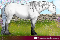 Horse Color:ERROR: UNKNOWN ANOMALY