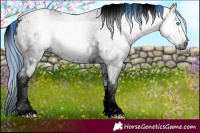 Horse Color:ERROR: UNKNOWN ANOMALY