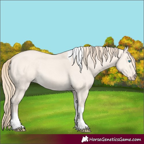 Horse Color:Perlino Dun Tobiano