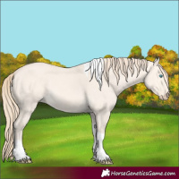 Horse Color:Perlino Dun Tobiano