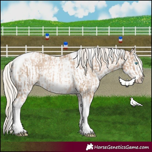 Horse Color:Chocolate Palomino Pearl Tobiano Frame  and Chocolate Palomino Pearl Tobiano Frame 