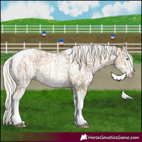 Horse Color:Chocolate Palomino Pearl Tobiano Frame  and Chocolate Palomino Pearl Tobiano Frame 
