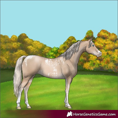 Horse Color:Chocolate Palomino Pearl Tobiano Frame and Chocolate Palomino Pearl Tobiano Frame