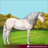 Horse Color:Silver Amber Cream Champagne Pearl 