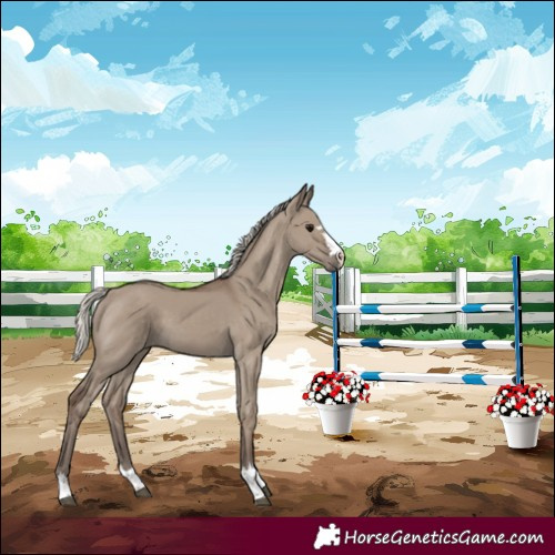 Horse Color:Silver Grullo 