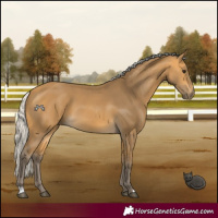 Horse Color:Silver Buckskin 
