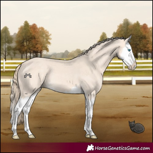 Horse Color:Perlino Splash 