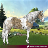 Horse Color:Palomino Ice Splash Tobiano 
