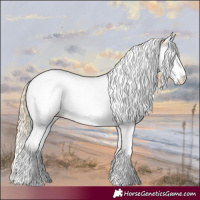 Horse Color:Palomino Dun Splash Tobiano