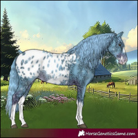Horse Color:Watercolor Liver Chestnut Ice Splash Frame Appaloosa 