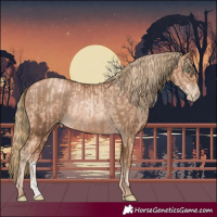 Horse Color:Gold Champagne Pearl Rabicano and Liver Chestnut Pearl Rabicano