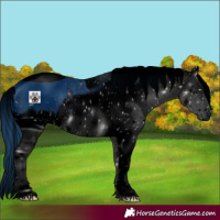 Horse Color:ERROR: UNKNOWN ANOMALY