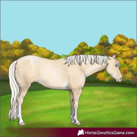 Horse Color:Silver Sable Cream Champagne Pearl Tobiano 