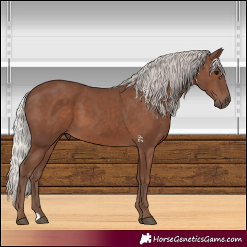 Horse Color:Silver Black 