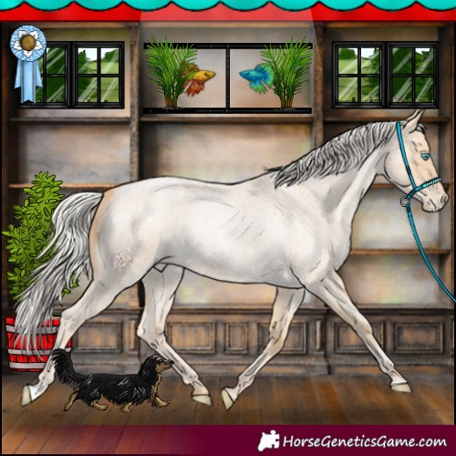 Horse Color:Silver Smoky Blue Roan Pearl 