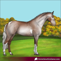 Horse Color:Gray Silver Black Pearl Tobiano