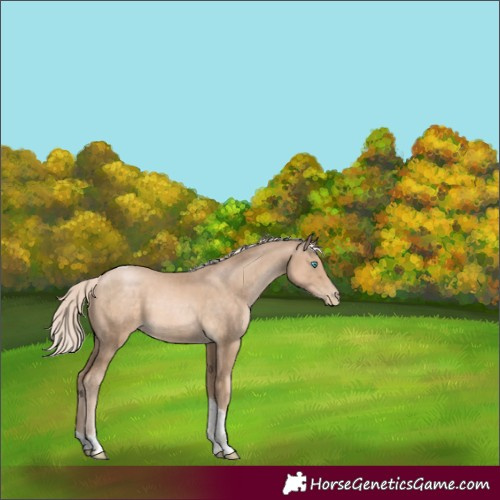 Horse Color:Chocolate Palomino Pearl Tobiano 