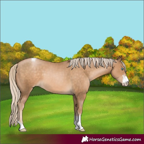 Horse Color:Chocolate Palomino Pearl Sabino Tobiano