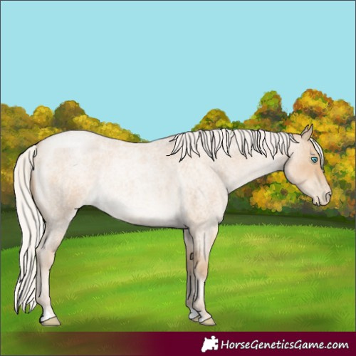 Horse Color:Silver Smoky Blue Roan Pearl 
