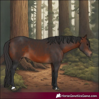 Horse Color:Brown 