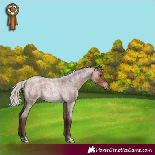 Horse Color:Silver Brown Roan Dun Rabicano  and Silver Brown Roan Rabicano 