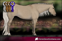 Horse Color:Silver Smoky Grullo 