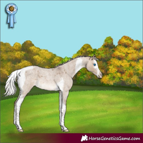 Horse Color:Silver Brown Roan Dun Splash Tobiano 