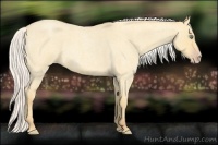 Horse Color:Silver Amber Cream Champagne Roan Dun 