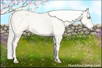 Horse Color:Silver Perlino Dun 
