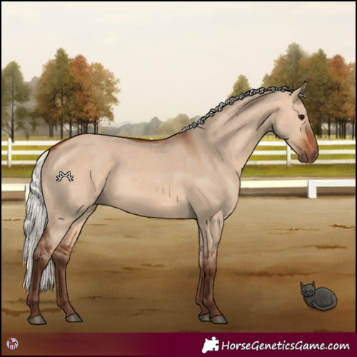 Horse Color:Silver Bay Dun 