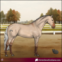Horse Color:Silver Bay Dun 