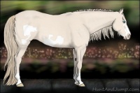 Horse Color:Perlino Frame 