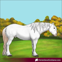 Horse Color:Blue Roan Tobiano Varnish 