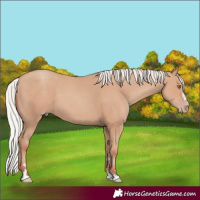 Horse Color:Silver Classic Champagne