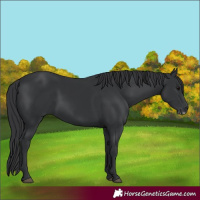 Horse Color:Black Frame
