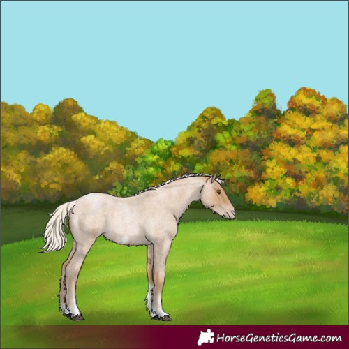 Horse Color:Silver Blue Roan Pearl Tobiano Frame 