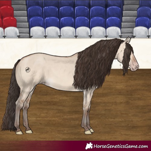 Horse Color:Amber Champagne Dun 