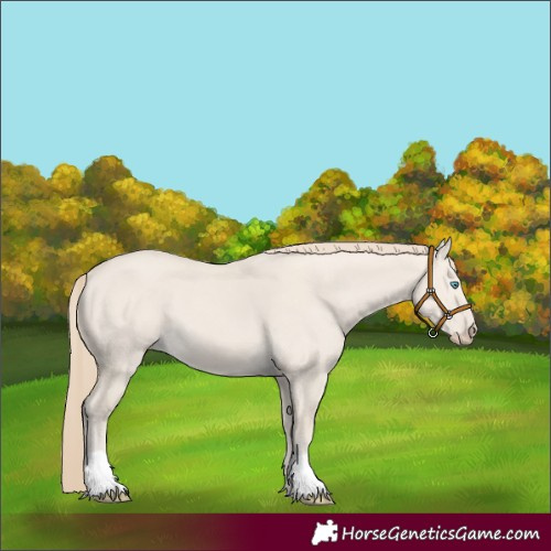 Horse Color:Smoky Creme Dun 