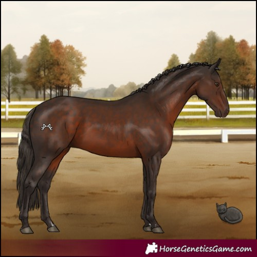 Horse Color:Liver Chestnut 