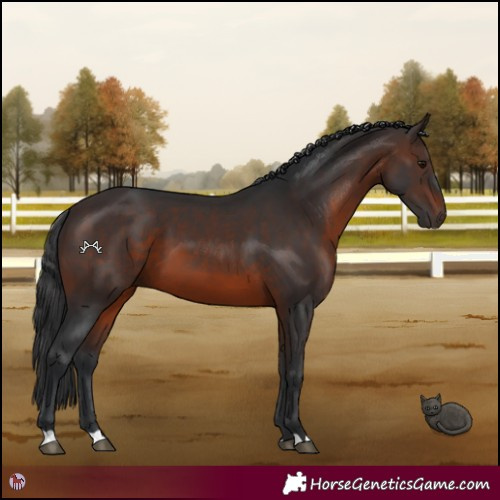 Horse Color:Brown 