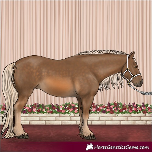 Horse Color:Chocolate Palomino